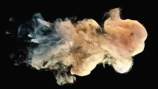 Toshiba Proszek deweloperski D5070 500g dla e-STUDIO